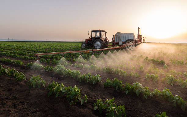 Best Pest Control Near Me  in Hazen, ND