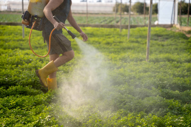 Best Best Pest Control Companies  in Hazen, ND