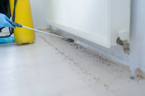 Best Emergency Pest Control  in Hazen, ND